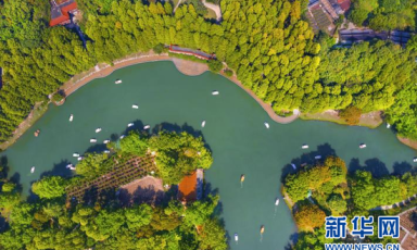 湖北：武汉公园这项指标，领跑全国特大城市