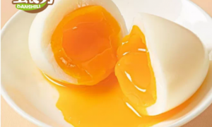 蛋食力——一颗会呼吸的鸡蛋