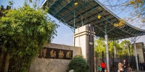 武汉动物园：动植物王国的魅力之旅